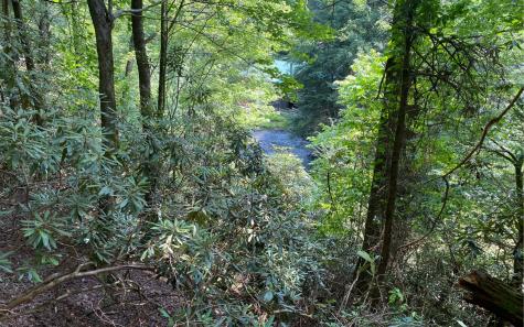 Lot 645 Wedowee Court (lot 645) Ellijay GA 30540