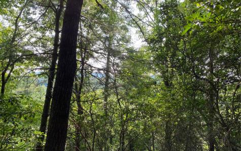 Lot 645 Wedowee Court (lot 645) Ellijay GA 30540