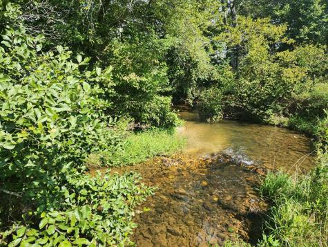 142 Jones Creek Road Blairsville GA 30512