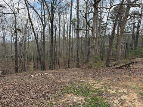 3467 Carver Mill Road Talking Rock GA 30175