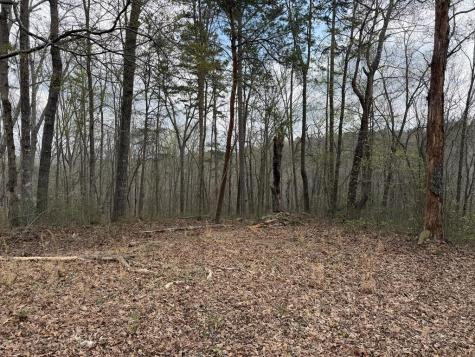 3467 Carver Mill Road Talking Rock GA 30175