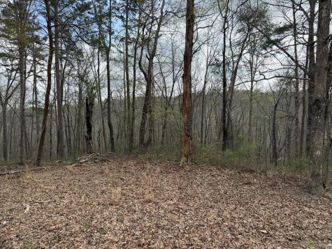 3467 Carver Mill Road Talking Rock GA 30175
