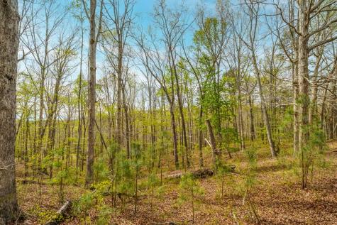 3467 Carver Mill Road Talking Rock GA 30175
