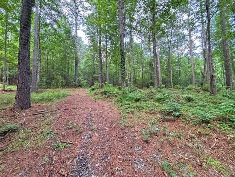 10AC Lovejoy Lane Talking Rock GA 30175