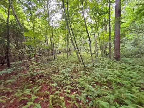 10AC Lovejoy Lane Talking Rock GA 30175