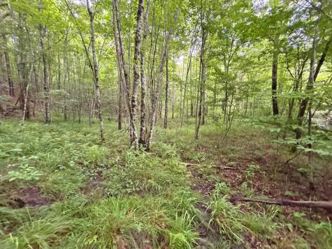 10AC Lovejoy Lane Talking Rock GA 30175