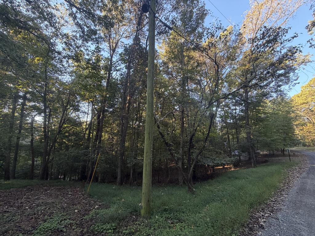 244 S Crestview Drive S Ellijay GA 30540