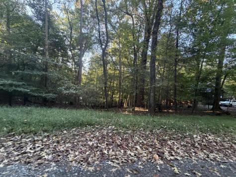244 S Crestview Drive S Ellijay GA 30540