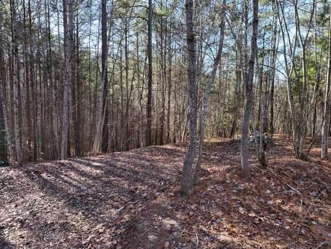 Tract D Carriage Lane NW Blairsville GA 30512