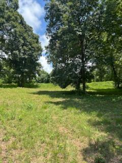LT4 Old Highway 64e Hayesville NC 28904