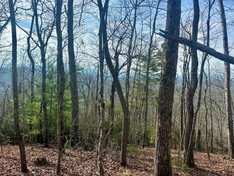 Lot 31 Blue Horizon Drive Blue Ridge GA 30513