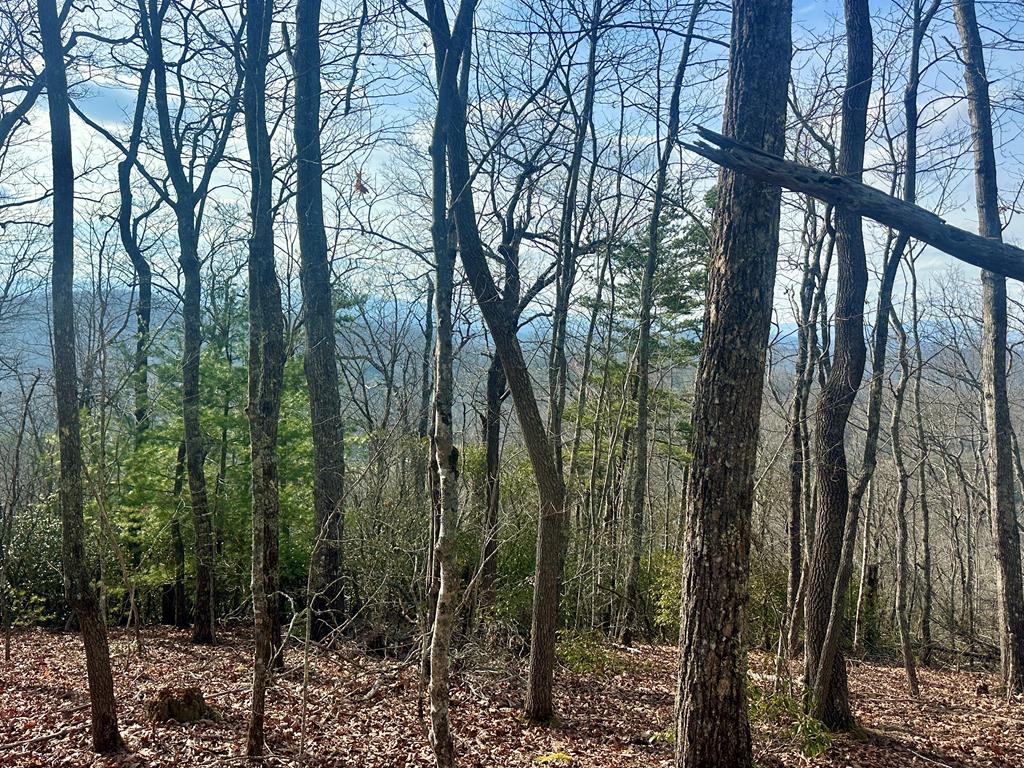 Lot 31 Blue Horizon Drive Blue Ridge GA 30513