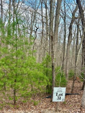 Lot 31 Blue Horizon Drive Blue Ridge GA 30513