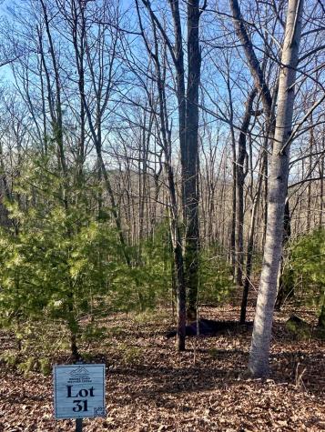Lot 31 Blue Horizon Drive Blue Ridge GA 30513