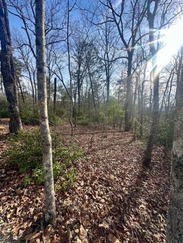 Lot 31 Blue Horizon Drive Blue Ridge GA 30513