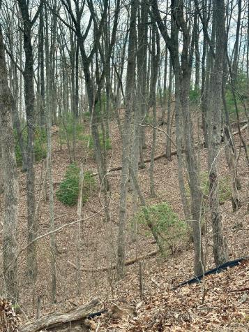 Lot 31 Blue Horizon Drive Blue Ridge GA 30513
