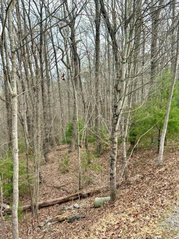 Lot 31 Blue Horizon Drive Blue Ridge GA 30513