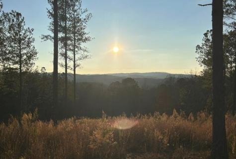 Lot 80 Seven Mile Creek Road Talking Rock GA 30175