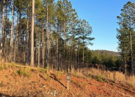 Lot 80 Seven Mile Creek Road Talking Rock GA 30175