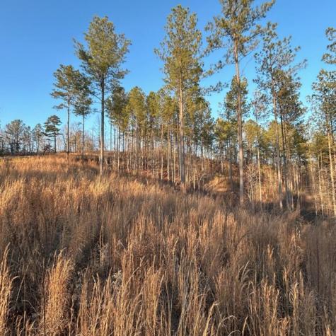 Lot 80 Seven Mile Creek Road Talking Rock GA 30175