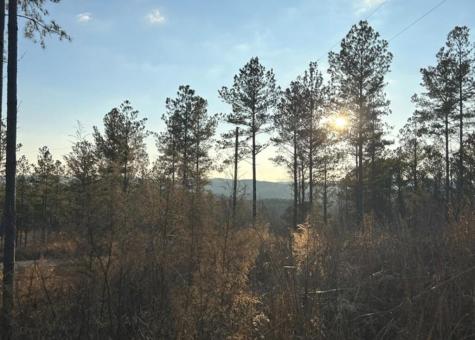 Lot 80 Seven Mile Creek Road Talking Rock GA 30175