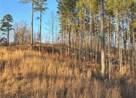 Lot 80 Seven Mile Creek Road Talking Rock GA 30175