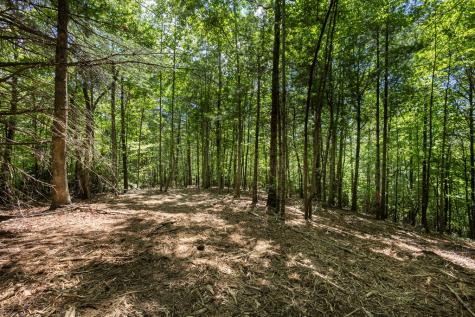 4.0 Acre Donley Road Murphy NC 28906