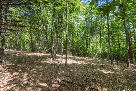 4.0 Acre Donley Road Murphy NC 28906