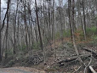 29,30 Sunset Drive W Young Harris GA 30585