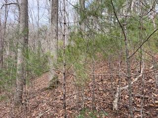 29,30 Sunset Drive W Young Harris GA 30585