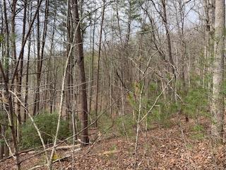 29,30 Sunset Drive W Young Harris GA 30585