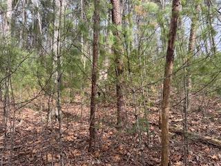 29,30 Sunset Drive W Young Harris GA 30585