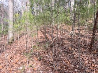 29,30 Sunset Drive W Young Harris GA 30585