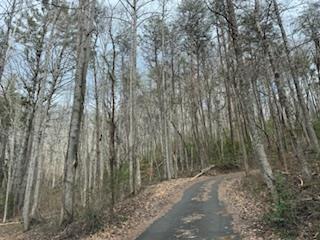 29,30 Sunset Drive W Young Harris GA 30585