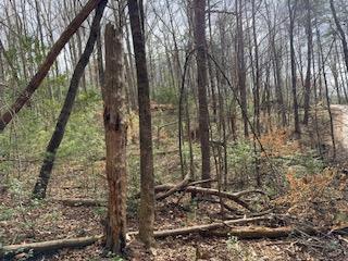 29,30 Sunset Drive W Young Harris GA 30585