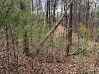 29,30 Sunset Drive W Young Harris GA 30585