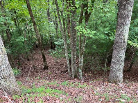 167 Tara Drive Ellijay GA 30540