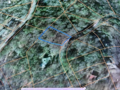 167 Tara Drive Ellijay GA 30540