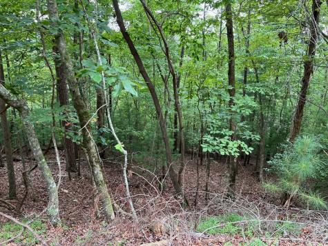 167 Tara Drive Ellijay GA 30540