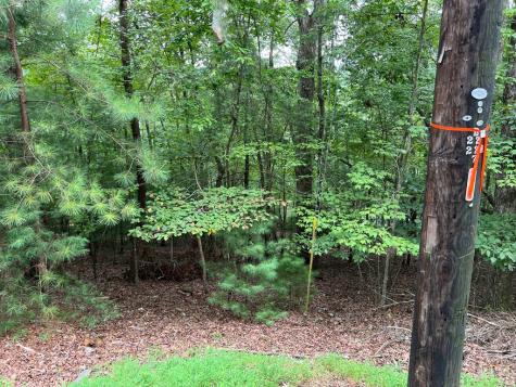 167 Tara Drive Ellijay GA 30540