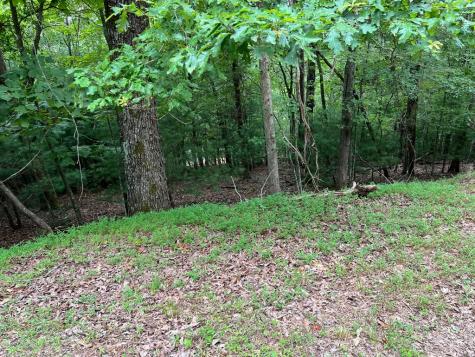 167 Tara Drive Ellijay GA 30540