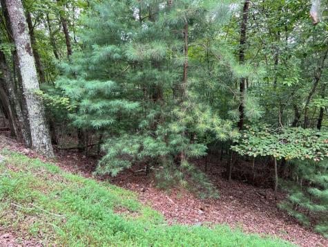 167 Tara Drive Ellijay GA 30540