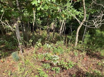 9 Yellow Maple Lane Murphy NC 28906