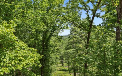 LT27,28B Haven Way Blue Ridge GA 30513