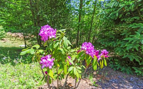 LT27,28B Haven Way Blue Ridge GA 30513