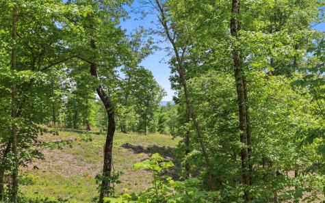 LT27,28B Haven Way Blue Ridge GA 30513