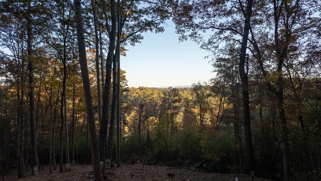 155 Rhondas Way Ellijay GA 30540