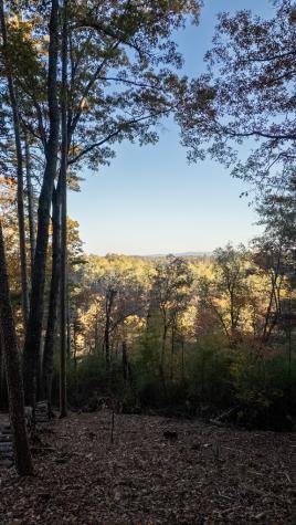 155 Rhondas Way Ellijay GA 30540