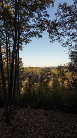 155 Rhondas Way Ellijay GA 30540