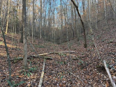 00 Whitepath Road Ellijay GA 30540